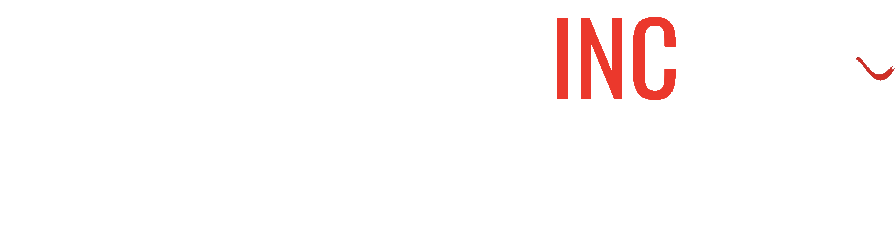 Ludis Inc