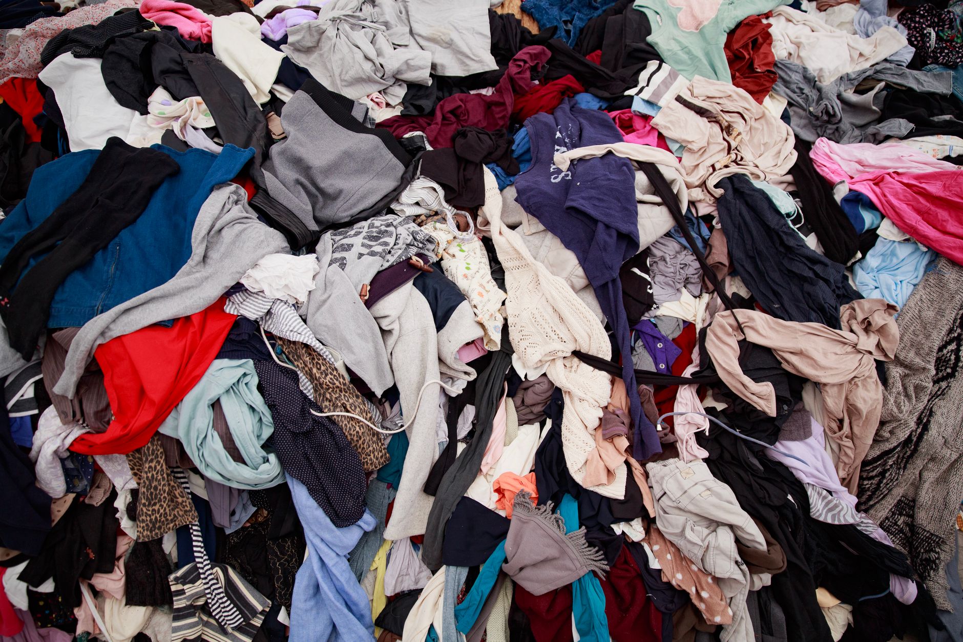 Le rebranding de B-Z-B : une nouvelle vision pour une mode plus durable