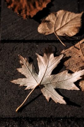 Le mocassin : un retour en force pour l'automne 2023