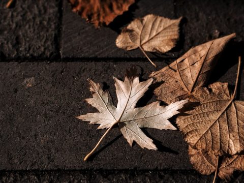 Le mocassin : un retour en force pour l'automne 2023