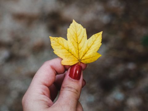 Tendances manucure automne 2026 : couleurs et styles à adopter