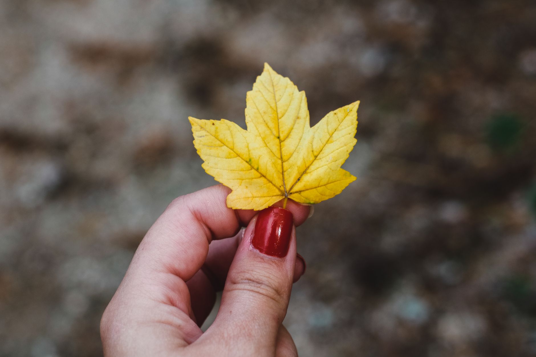 Tendances manucure automne 2026 : couleurs et styles à adopter