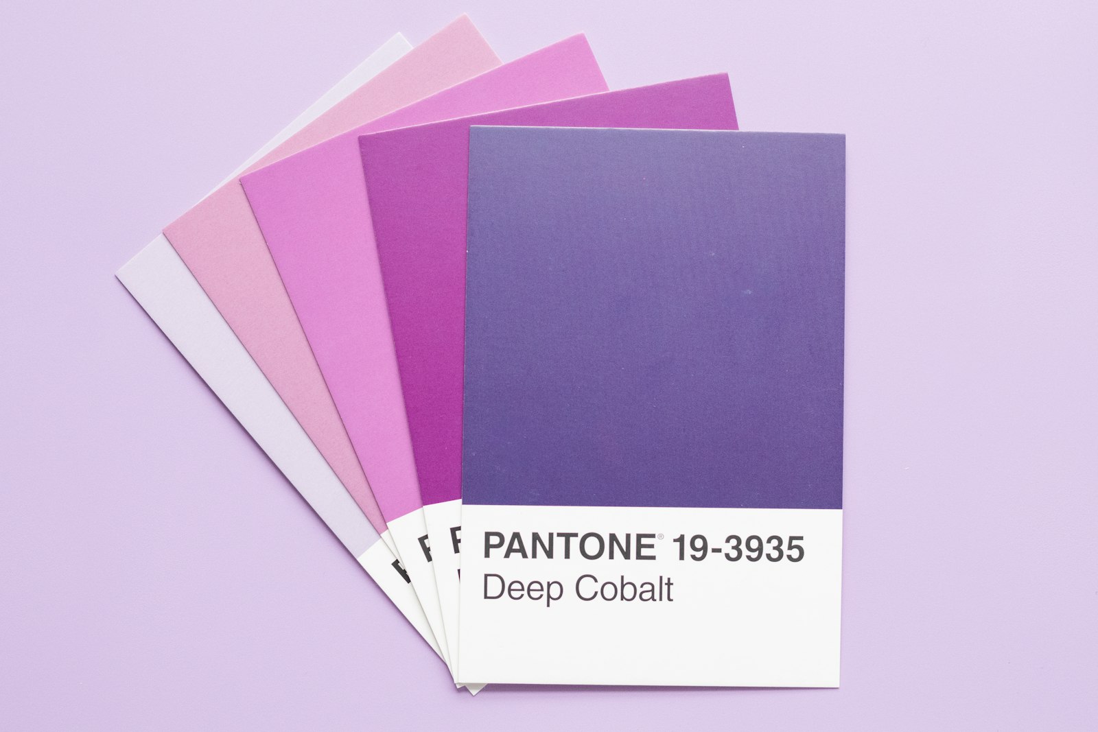 Plongez dans l'univers coloré de Balenciaga : l'inspiration corallienne pour un automne tendance