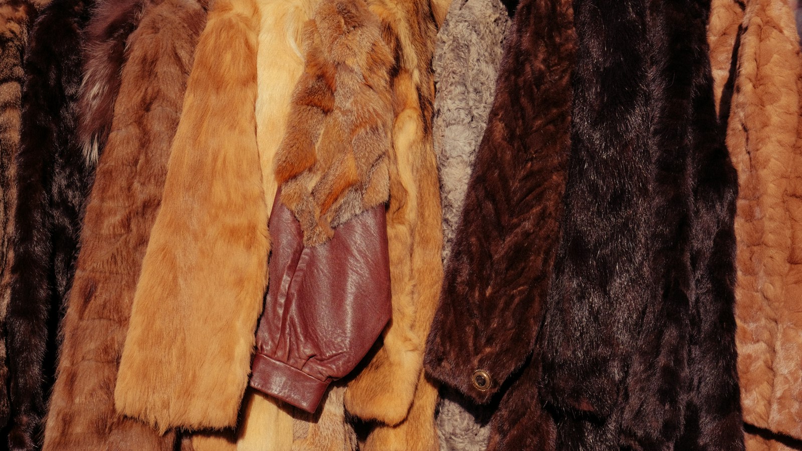 Céline Dion : comment s&rsquo;inspirer de son look audacieux sans se ruiner ?