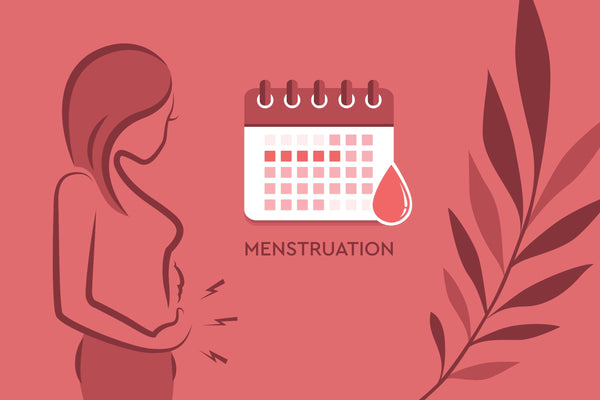 menstruation