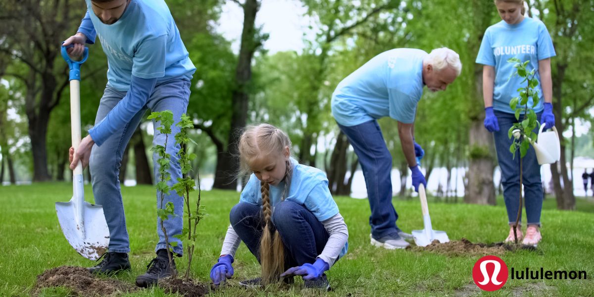 programme de reforestation