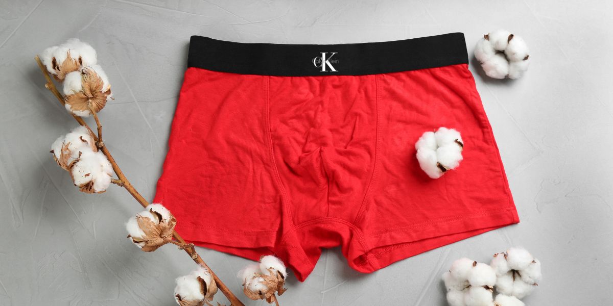 boxers